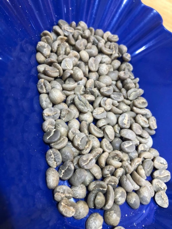 TANZANIA KILIMANJARO WASHED COFFEE from Tanzania